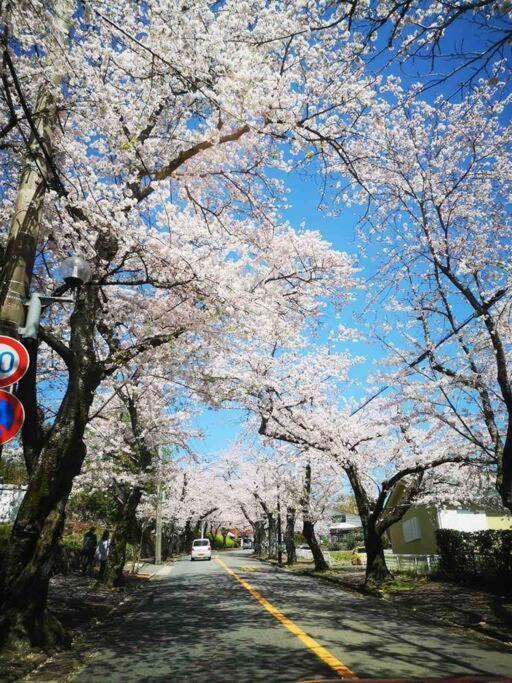 2Sldk駐車場、芝生東屋付き、Bbq、大室山と海遠望伊豆高原5分 Villa Ito  Dış mekan fotoğraf