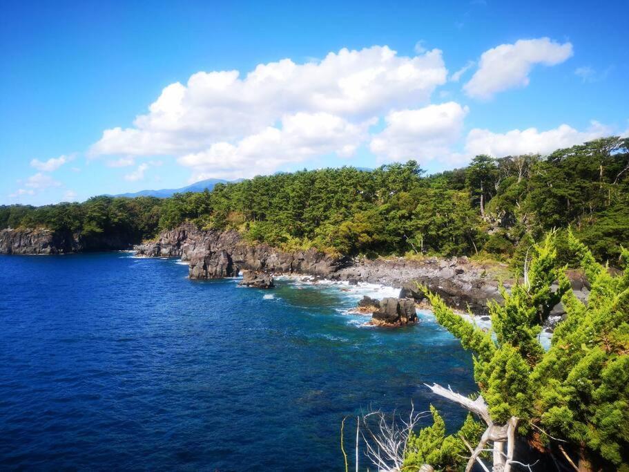 2Sldk駐車場、芝生東屋付き、Bbq、大室山と海遠望伊豆高原5分 Villa Ito  Dış mekan fotoğraf